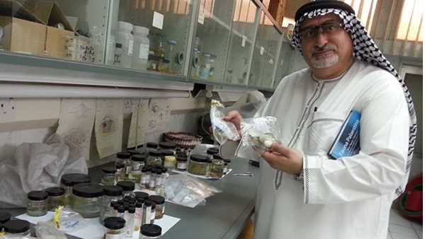 إسرائيل تسرق الغزال الجبلي وعالم فلسطيني  يكشف الأمر